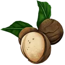 Nuts01