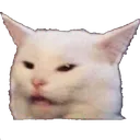 Twitch_CatConfused Discord Emoji