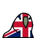 parrotUK parrotUK