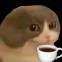bald_cat_sip_tea