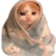 ComfyCat