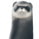 ferret custom emote | House