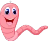 worm worm