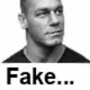fake fake