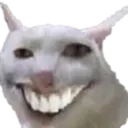 cat_smile cat_smile