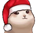 z_cat_pop2