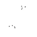 Neurons