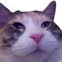 chickpeaunderfluff5000