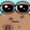 pou