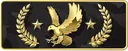 Legendary_Eagle_Master