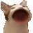 1118916891415687238