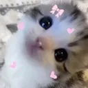 cutie