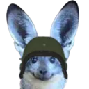 rodentcreature