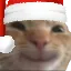 feliznavidad feliznavidad