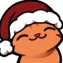 CatChristmasHat