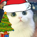 Pfp_Meower_Christmas Discord emoji