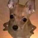 srio Discord emoji