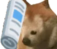 bonk_news_mfl