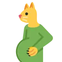 pregnant_cat pregnant_cat