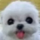 emoji_220