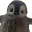 PENGY PENGY