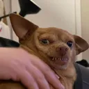 massivesideeye
