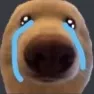 sadBear
