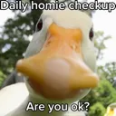 check