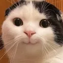 cute