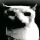 noooo