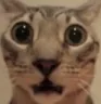 shocked