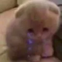 __