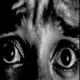 :fear: