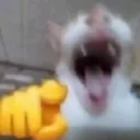 laughatthisuser
