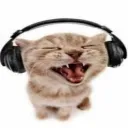 Catmusic Discord Emoji