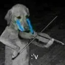 pipipi_papu pipipi_papu