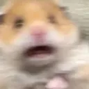 scaredrat