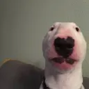 Walter