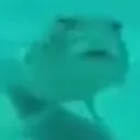 HUH