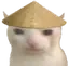 np_china