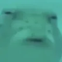 fishy