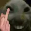 xddmiddle