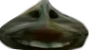 xddgarlic xddgarlic