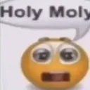 HolyMoly