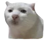 carry_tfdo_uwant carry_tfdo_uwant