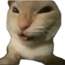 hehe hehe