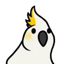 cockatoovibe