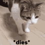 dies