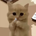 fl_cat Discord Emoji