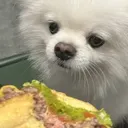 xiaobao_food